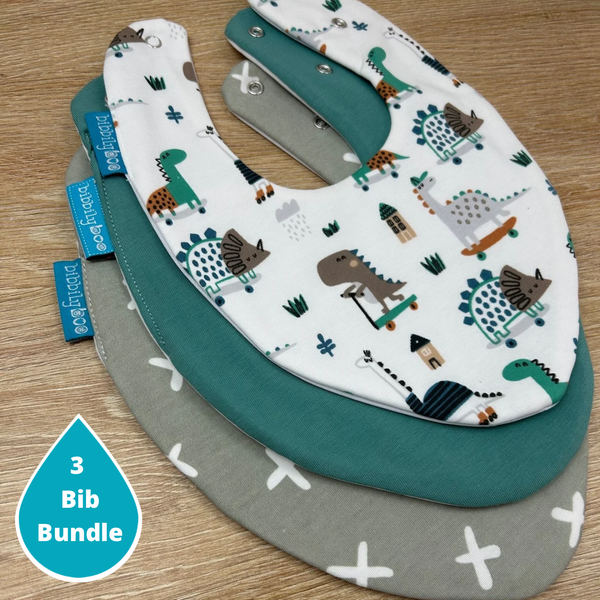 Skater Dino's Bundle of 3 Bibs