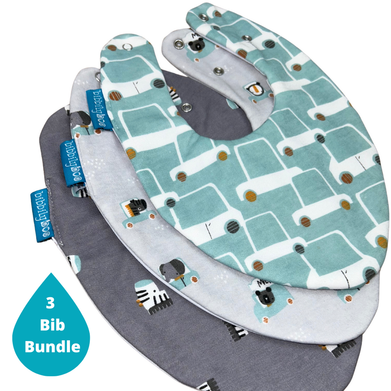 Cars Bundle of 3 Bibs